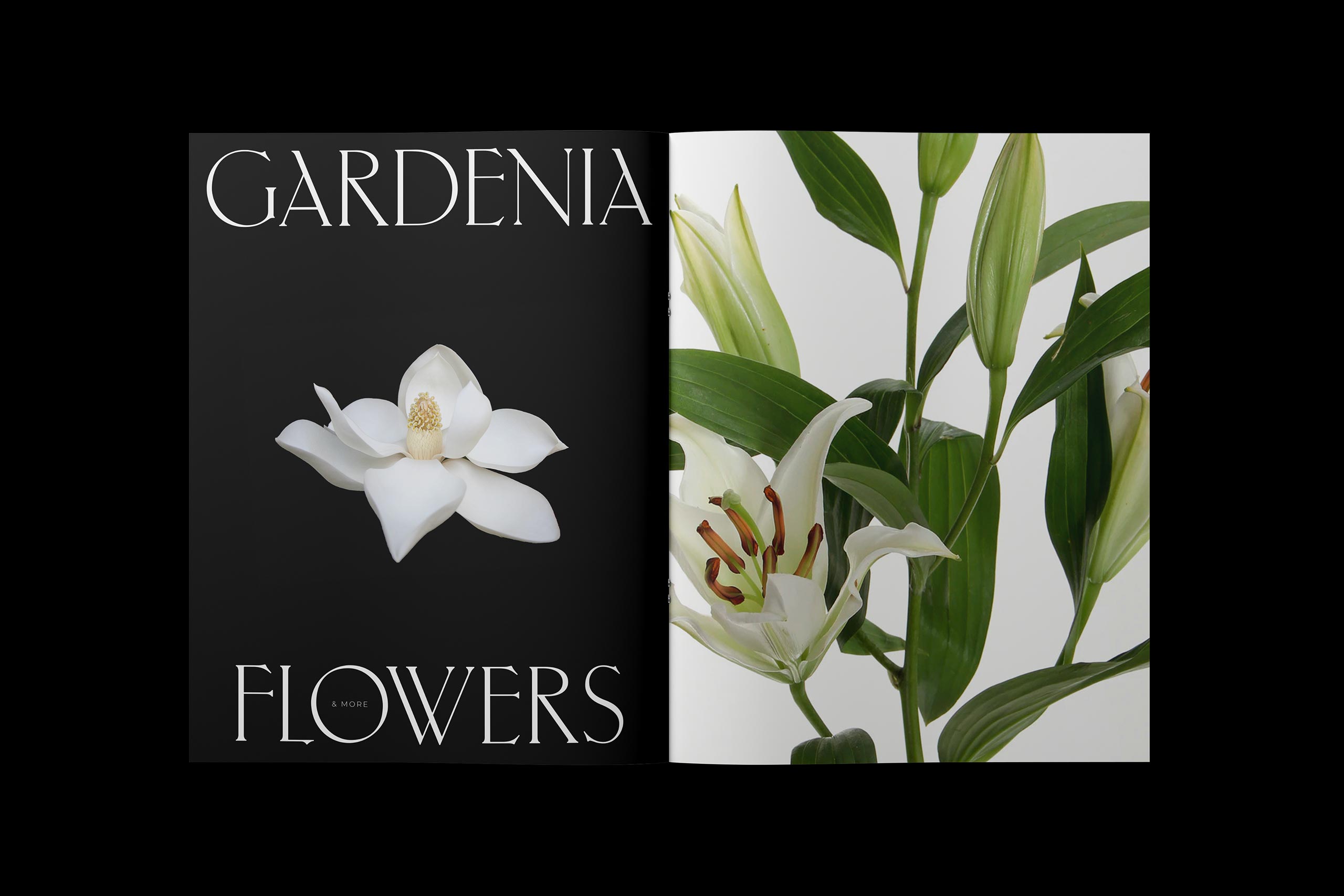 Studio-Hrastar-Gardenia-Catalogue
