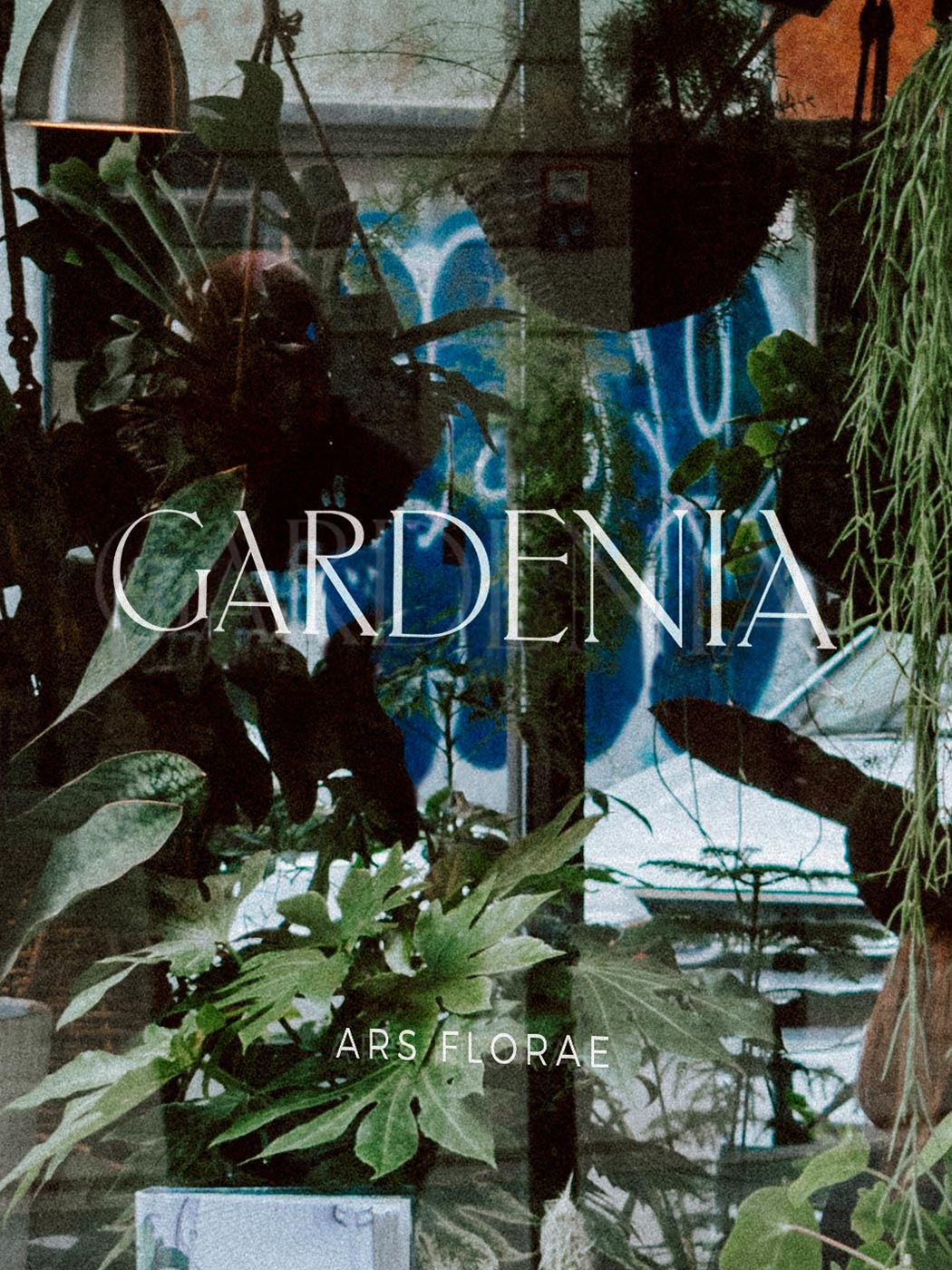 Studio-Hrastar-Gardenia-Window